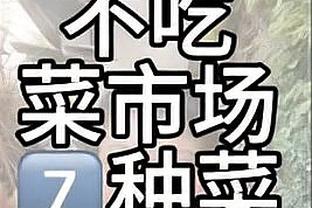 开云app官网入口登录下载安卓截图4